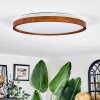 Sofo Plafones LED Crudo, 1 luz, Mando a distancia