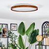 Sofo Plafones LED Crudo, 1 luz, Mando a distancia