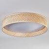 Barroco Plafones LED Crudo, Blanca, 1 luz, Mando a distancia