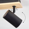 Gesteira Plafones, Spot techo Crudo, Negro, 4 luces