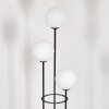 Gastor Lámpara de pie 30 cm Madera clara, Negro, 3 luces