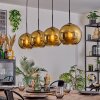 Koyoto Lámparas suspendidas, Luminarias esféricas, Lámparas colgantes dorado, 4 luces