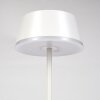 Romdrup Lámpara de mesa de exterior, Lámparas de mesa LED Blanca, 1 luz