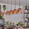 Koyoto Lámparas suspendidas, Luminarias esféricas, Lámparas colgantes Transparente, Color cobre, 4 luces