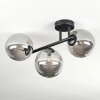 Chehalis Plafones, Luminarias esféricas Ahumado, 3 luces