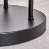 Gastor Lámpara de pie Negro, 3 luces