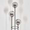 Gastor Lámpara de pie Negro, 3 luces