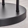 Gastor Lámpara de pie Negro, 3 luces Gastor Lámpara de pie Negro, 3 luces
