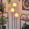 Gastor Lámpara de pie Negro, 3 luces