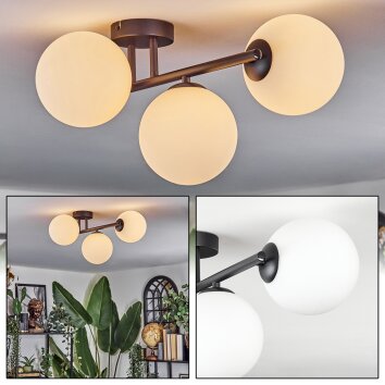 Chehalis Plafones, Luminarias esféricas Blanca, 3 luces