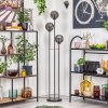Gastor Lámpara de pie Negro, 3 luces