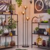 Gastor Lámpara de pie 25 cm Negro, 3 luces