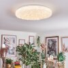 Dacen Plafones LED Blanca, 1 luz, Mando a distancia