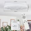 Dacen Plafones LED Blanca, 1 luz, Mando a distancia