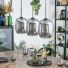 Apedo Lámparas suspendidas, Lámparas colgantes Ahumado, 3 luces