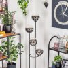 Gastor Lámpara de pie Madera oscura, Negro, 4 luces