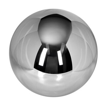 Pantalla de cristal  Gastor Vidrio de recambio 30 cm Ahumado