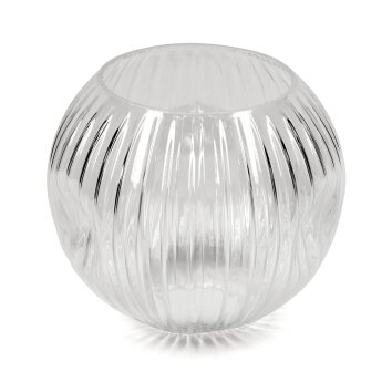 Pantalla de cristal  Ripoll Vidrio de recambio Transparente