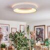 Joren Plafones, Panel LED Blanca, 1 luz, Mando a distancia