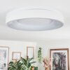 Joren Plafones, Panel LED Blanca, 1 luz, Mando a distancia