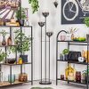 Gastor Lámpara de pie 30 cm Negro, 3 luces