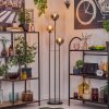 Gastor Lámpara de pie 30 cm Negro, 3 luces