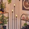 Gastor Lámpara de pie 30 cm Negro, 3 luces