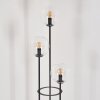 Gastor Lámpara de pie 30 cm Negro, 3 luces