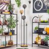 Gastor Lámpara de pie 30 cm Madera oscura, Negro, 4 luces
