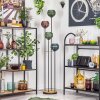 Koyoto Lámpara de pie Madera oscura, Negro, 4 luces