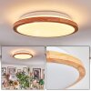 Nogueira Plafones, Panel LED Crudo, Blanca, 1 luz