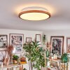 Nogueira Plafones, Panel LED Crudo, Blanca, 1 luz