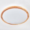Nogueira Plafones, Panel LED Crudo, Blanca, 1 luz