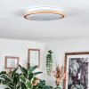 Nogueira Plafones, Panel LED Crudo, Blanca, 1 luz