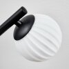 Chehalis Plafones, Luminarias esféricas Blanca, 3 luces