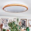 Nogueira Plafones, Panel LED Blanca, 1 luz, Mando a distancia