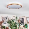 Nogueira Plafones, Panel LED Blanca, 1 luz, Mando a distancia