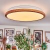 Nogueira Plafones, Panel LED Blanca, 1 luz, Mando a distancia