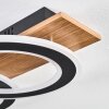 Besperia Plafones LED Color madera, Negro, 1 luz