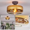 Boza Plafones dorado, Transparente, 1 luz