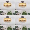 Boza Plafones dorado, Transparente, 1 luz