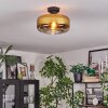 Boza Plafones dorado, Transparente, 1 luz
