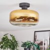Boza Plafones dorado, Transparente, 1 luz