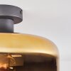 Boza Plafones dorado, Transparente, 1 luz