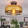 Boza Plafones dorado, Transparente, 1 luz