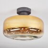 Boza Plafones dorado, Transparente, 1 luz