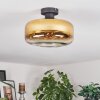 Boza Plafones dorado, Transparente, 1 luz