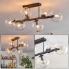 Gastor Plafones, Luminarias esféricas Transparente, 6 luces