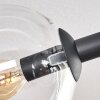Gastor Plafones, Luminarias esféricas Transparente, 6 luces