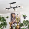 Gastor Plafones, Luminarias esféricas Transparente, 6 luces